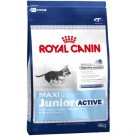      Royal Canin ( )  Maxi  Junior Active 