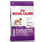       Royal Canin ( ) Giant Puppy Activ