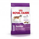      Royal Canin ( ) Giant Junior 31