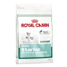    Royal Canin ( ) Mini Starter