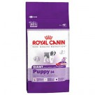      Royal Canin ( ) Giant Puppy 34